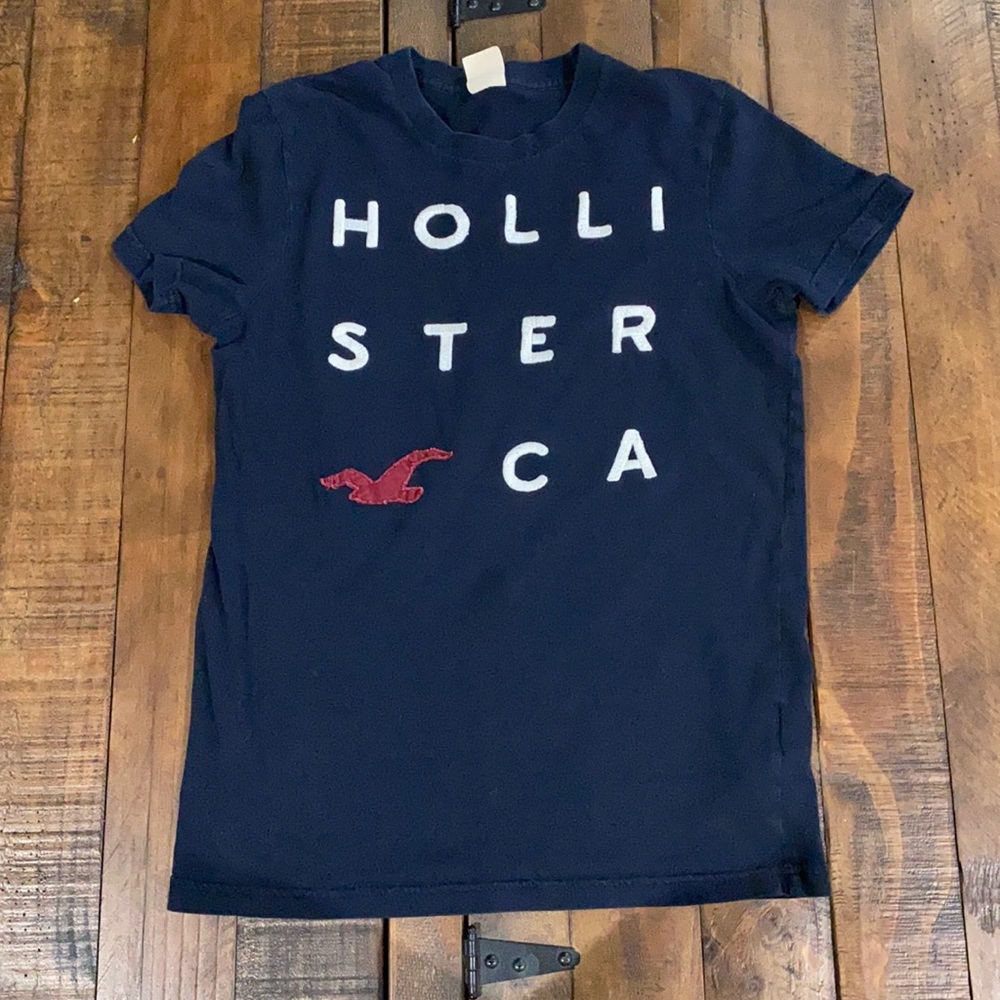Mens Hollister Tshirt